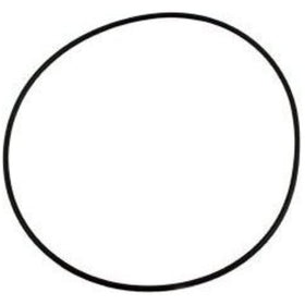 Pentair Valve Top O-Ring - Getlegitdeals