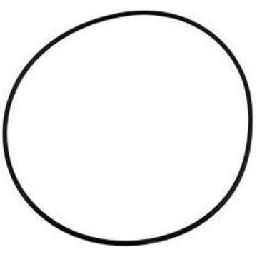 Pentair Valve Top O-Ring - Getlegitdeals