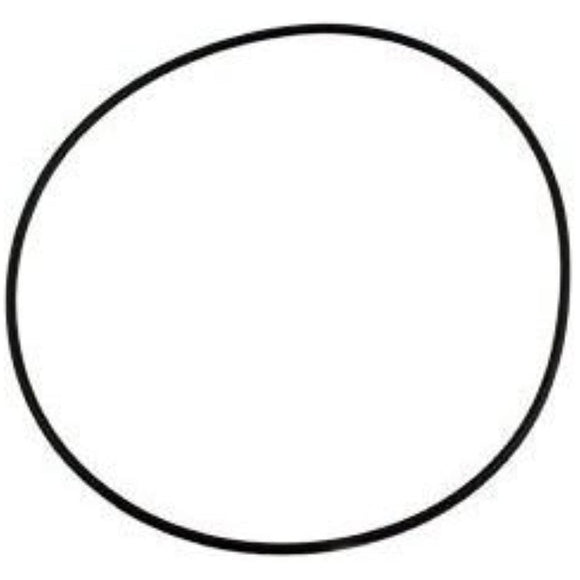 Pentair Valve Top O-Ring - Getlegitdeals