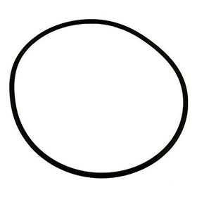 Pentair 39006000 Buna-N O-Ring Replacement American Products Ultra-flow Pump - 0