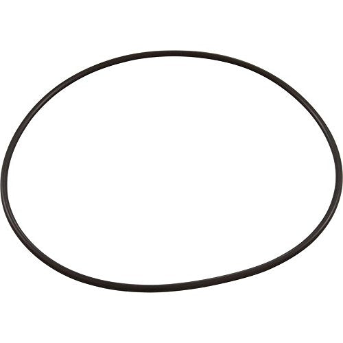 Pentair 1.5" Multiport Top Mount Valve O-Ring