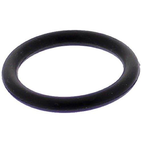 Pentair 14971SM10E10 O-Ring - Getlegitdeals