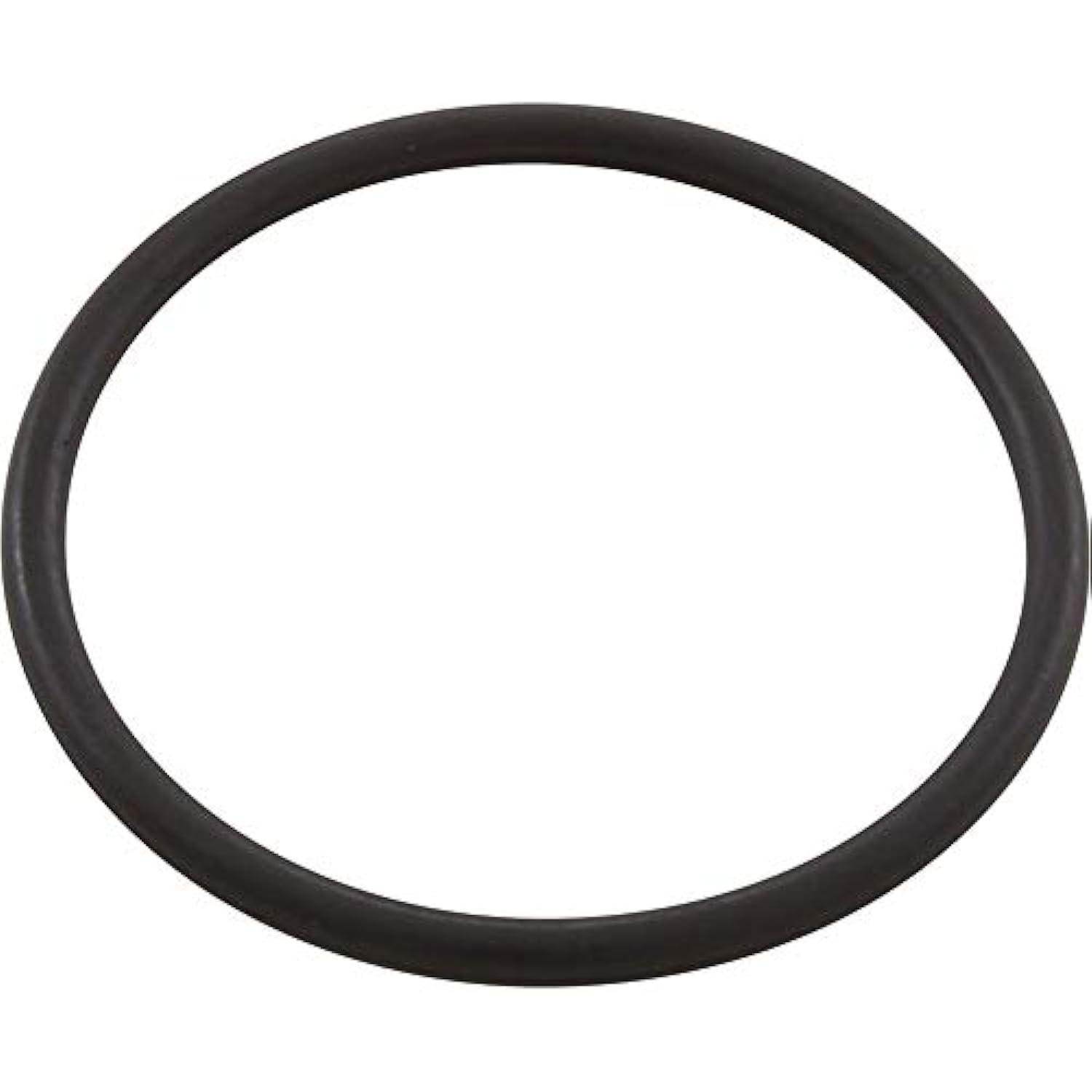 Pentair R172319 Bottom O-Ring - Getlegitdeals