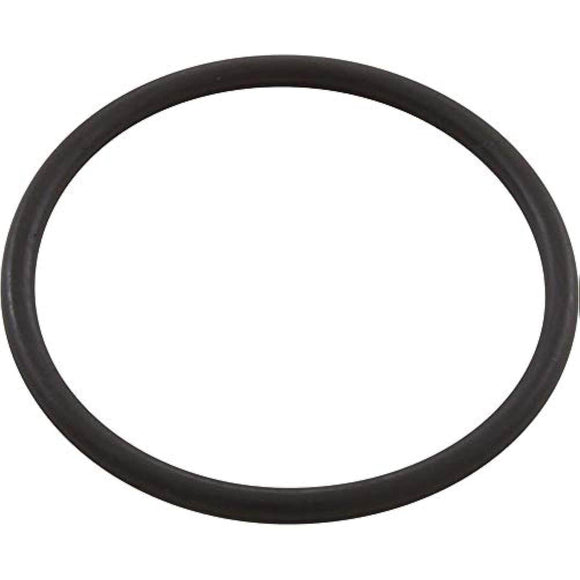 Pentair R172319 Bottom O-Ring - Getlegitdeals