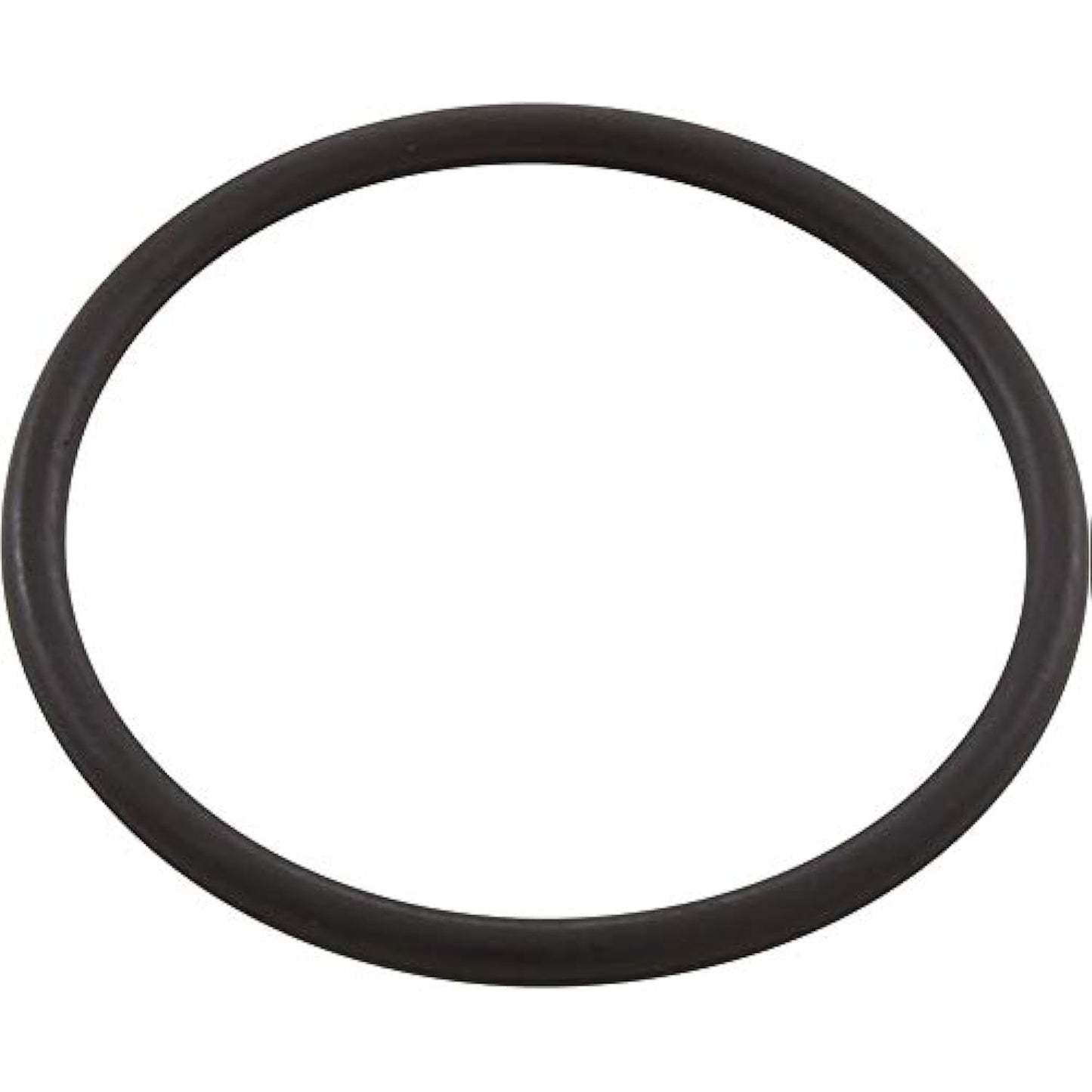 Pentair R172319 Bottom O-Ring