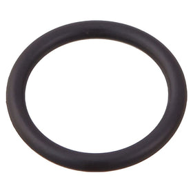 Pentair 192039Z O-Ring, Black
