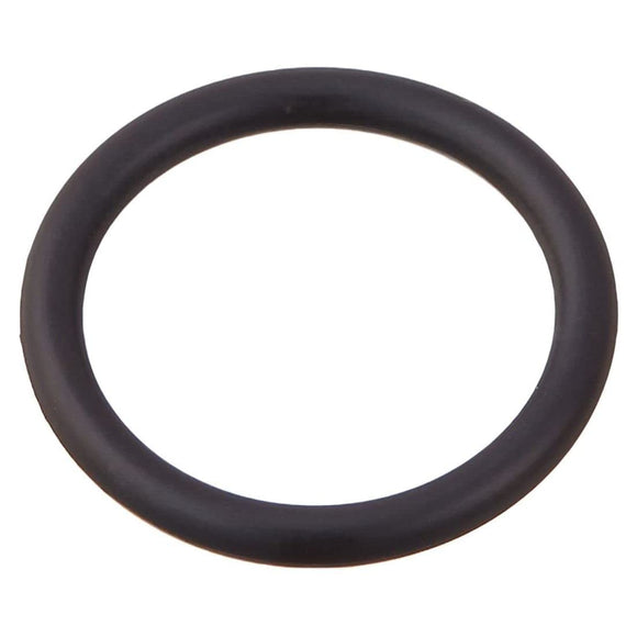 Pentair 192039Z O-Ring, Black