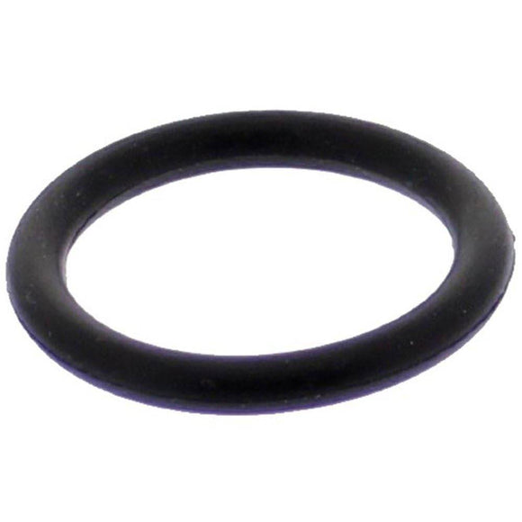 Pentair 14971SM10E10 O-Ring - Getlegitdeals