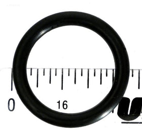 Pentair Star DE Filter Shaft O-Ring - 191479 - 0