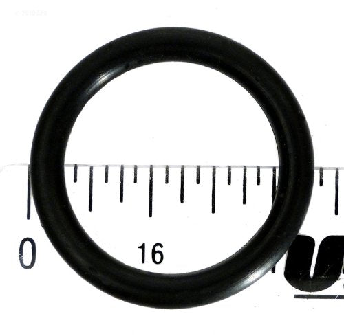 Pentair Star DE Filter Shaft O-Ring - 191479