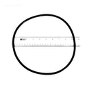 Pentair 87300400Z Body O-Ring Replacement Pool and Spa Filter-2