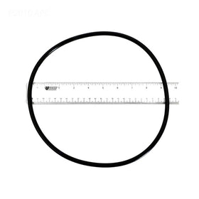 Pentair 87300400Z Body O-Ring Replacement Pool and Spa Filter - 0