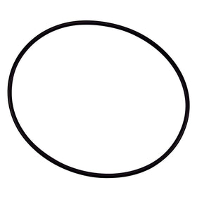 Pentair 154493 O-Ring Closure Replacement Pool/Spa Filter and Pump