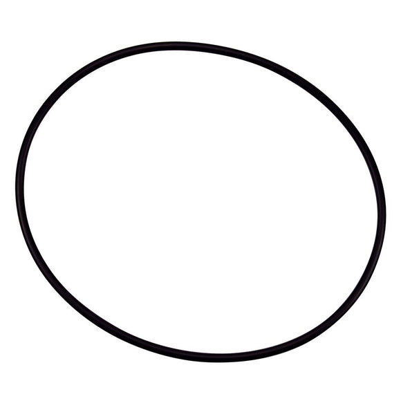 Pentair 154493 O-Ring Closure Replacement Pool/Spa Filter and Pump