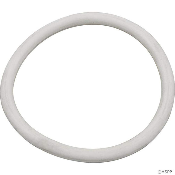 Pentair 195308 Lower Pipe Assembly Replacement FNS Pool and Spa D.E. Filter