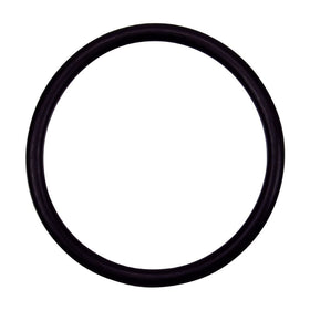 Pentair 154492 2-Inch Bulkhead O-Ring Replacement Pool and Spa Sand Filter