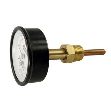 Raypak 007399F Temperature & Pressure Gauge