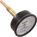 Raypak Temperature and Pressure Gauge, Heaters, 1/2", Bottom-1