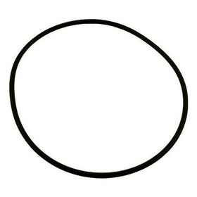 Pentair 39006000 Buna-N O-Ring Replacement American Products Ultra-flow Pump