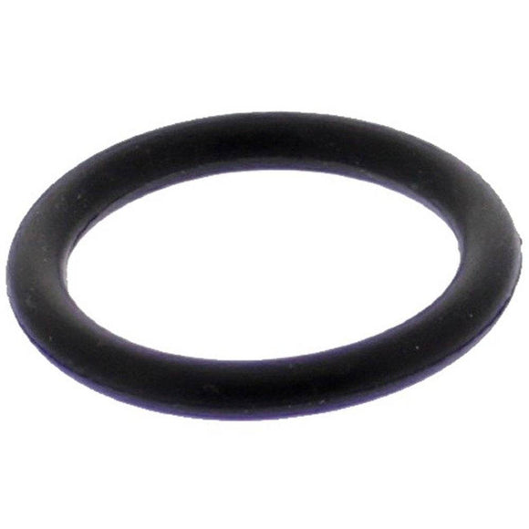 Pentair 14971SM10E10 O-Ring - Getlegitdeals