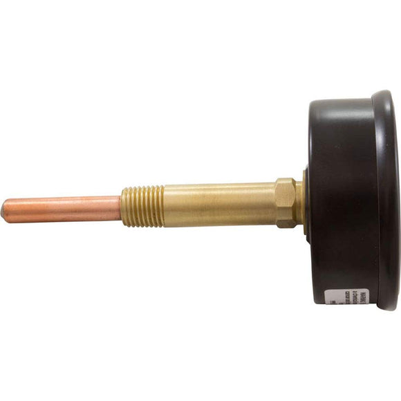Raypak Temperature and Pressure Gauge, Heaters, 1/2", Bottom