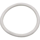 Pentair 195308 Lower Pipe Assembly Replacement FNS Pool and Spa D.E. Filter-4