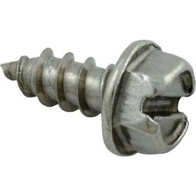 Pentair 273071 Stainless Steel Flat Head Screw