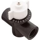 AquaStar ChemStar CH100 CH1019 1/2" Control Valve 43-300-1204-2