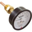 Raypak 007399F TandP Gauge 60/320f 0/230 1/2 Inch BTM-1