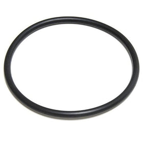 Aladdin O-Ring 20" 195008 / Anthony O-200-9