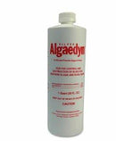 Algaedyn Algaecide Swimming Pool Chemical  Silver  1 qt-4