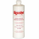 Algaedyn Algaecide Swimming Pool Chemical  Silver  1 qt-1