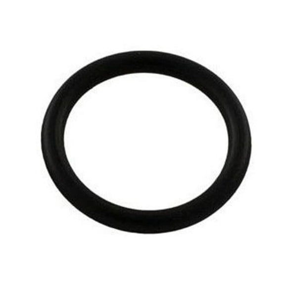 Pentair 35505-1318 2-Inch Piston O-Ring Replacement for Sta-Rite Plastic Slide Pool and Spa Valves