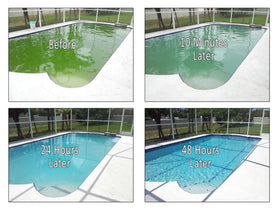 REVIVE! Swimming Pool Phosphate and Algae Remover Chemical for Pools - 32 oz - 0