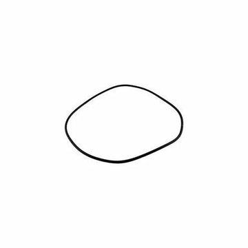 Jandy Zodiac R0446300 Backplate O-Ring