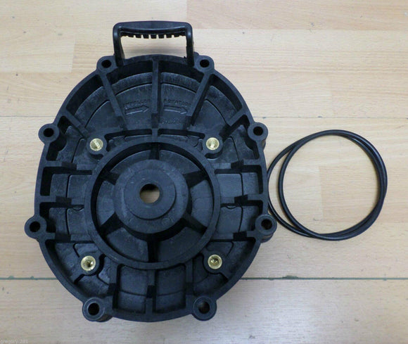 Jandy R0445200 Backplate