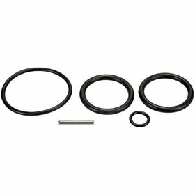 Pentair O-Ring Replacement Kit Push Pull Valve 263054