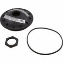 Pentair 154856 Black Buttress Thread Closure Replacement Kit Triton Pool and Spa Filter-6