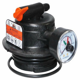 Hayward DEX2420MAR2 DE and Cartridge Filter Manual Air Relief Assembly - 0