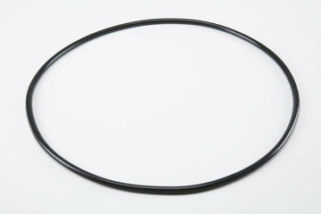 Pentair 39010200 Tank Clamp O-Ring Replacement Pool and Spa Filter - 0