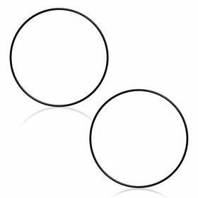 CXFHR1001 / RGX45G O-Ring for Hayward SwimClear C100S, C150S, C200S RG450, RG700, ASL C850, C1250 Filter Heads?2PCS?