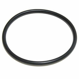 Aladdin O-Ring 20" 195008 / Anthony O-200-9 - 0