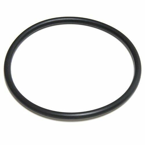 Aladdin O-Ring 20" 195008 / Anthony O-200-9