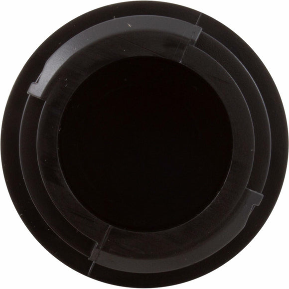 Pentair 150084 Black Long Lateral Replacement Pool and Spa Filter