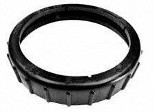 PENTAIR Lock Ring R172214 (DUP)