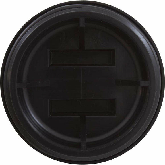 Pentair 195829 2-Inch All Purpose Plug with O-Ring