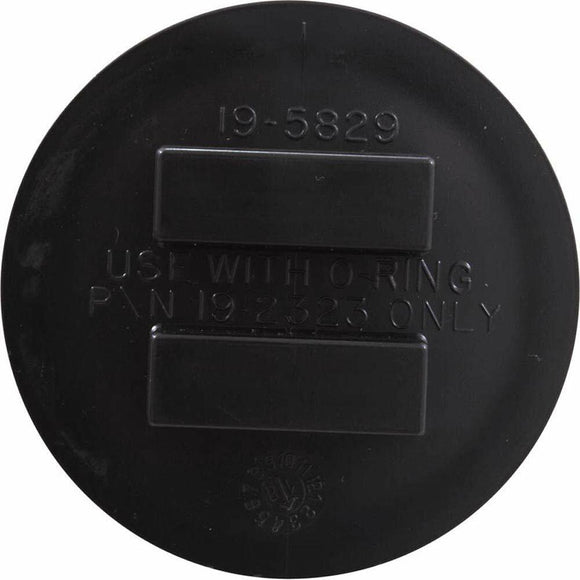 Pentair 195829 2-Inch All Purpose Plug with O-Ring