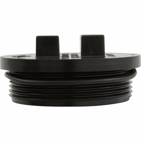 Pentair 195829 2-Inch All Purpose Plug with O-Ring