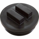 Pentair 195829 2-Inch All Purpose Plug with O-Ring-1