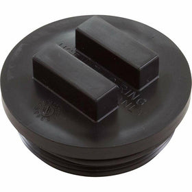 Pentair 195829 2-Inch All Purpose Plug with O-Ring
